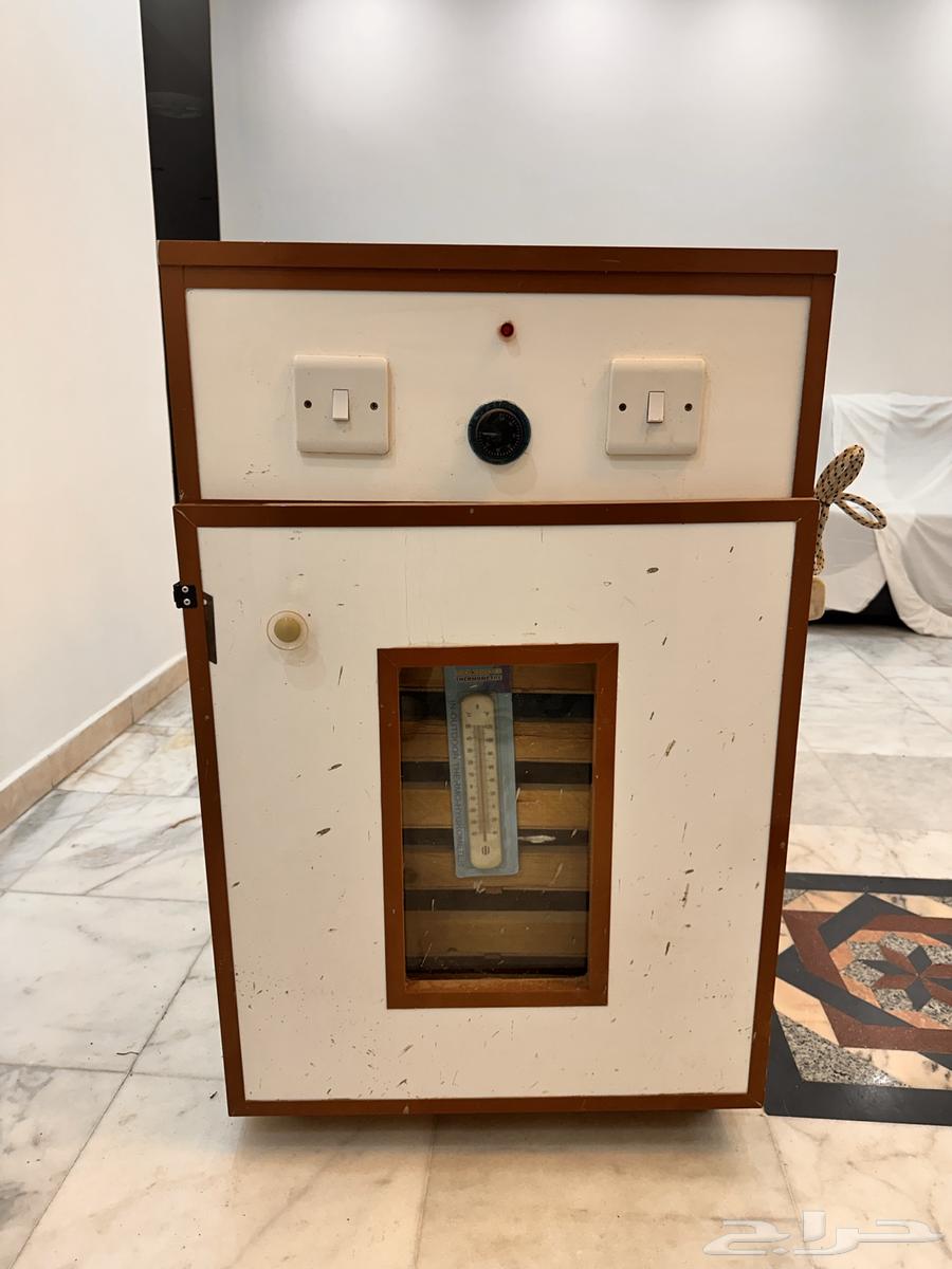 فقاصة بيض 1500 بيضة64449969580931111