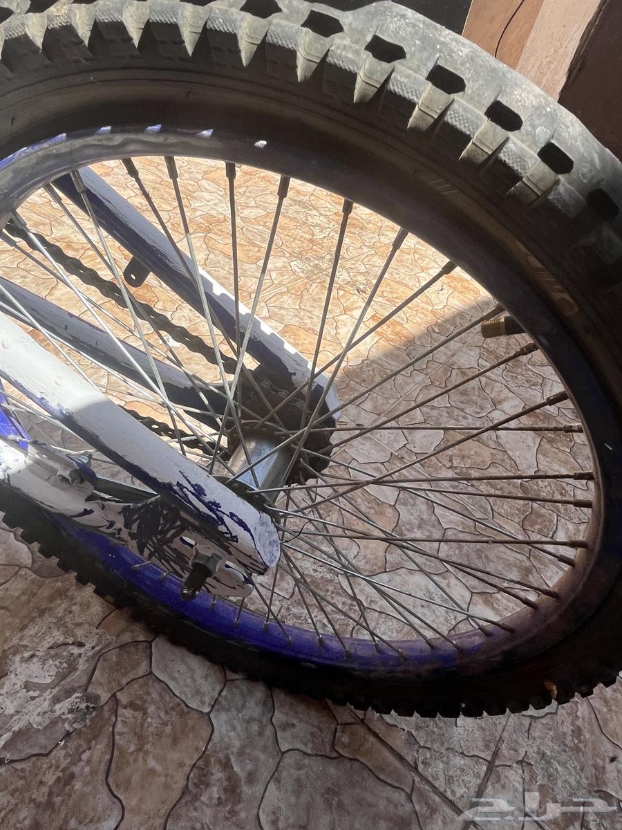 سيكل مقاس 20 كوبرا جنوط سليمه كل شي سليم إلى الكفر الي ورى64453106798977113