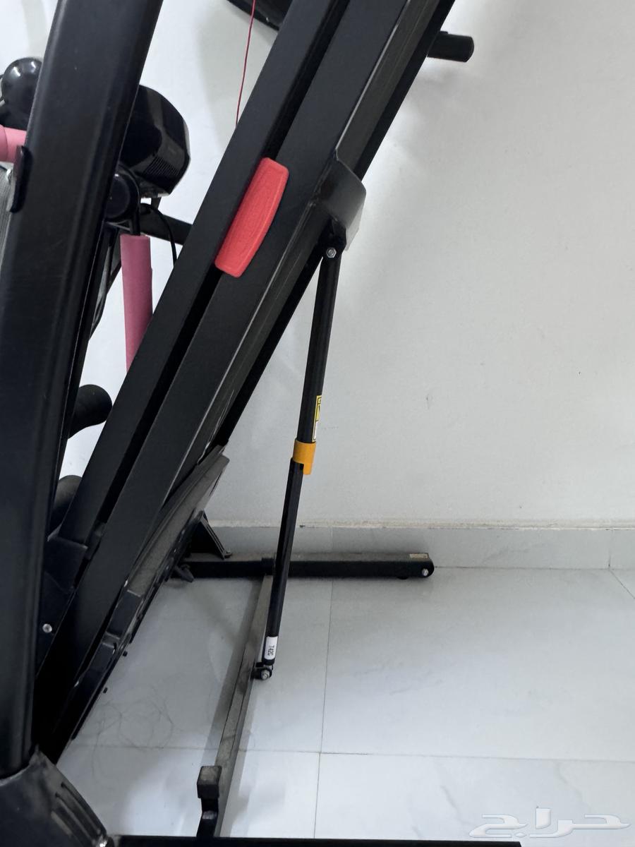 Walking with Gazelle64453311832449114