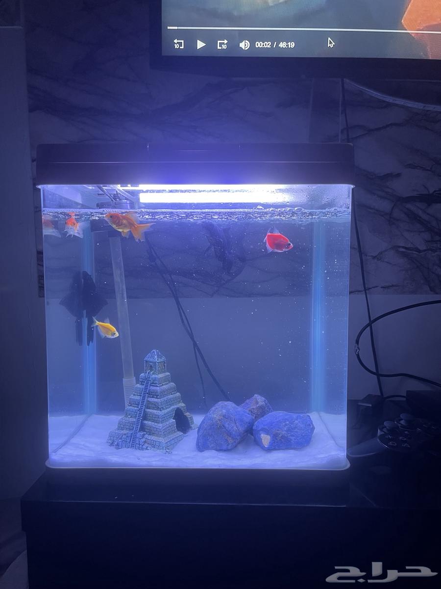 حوض سمك للبيع64449996046466111