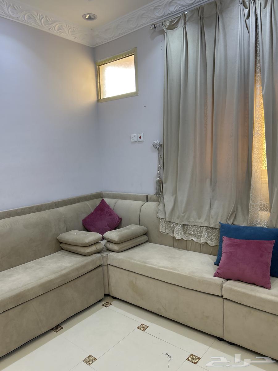 كنب نظيف64452563111682111