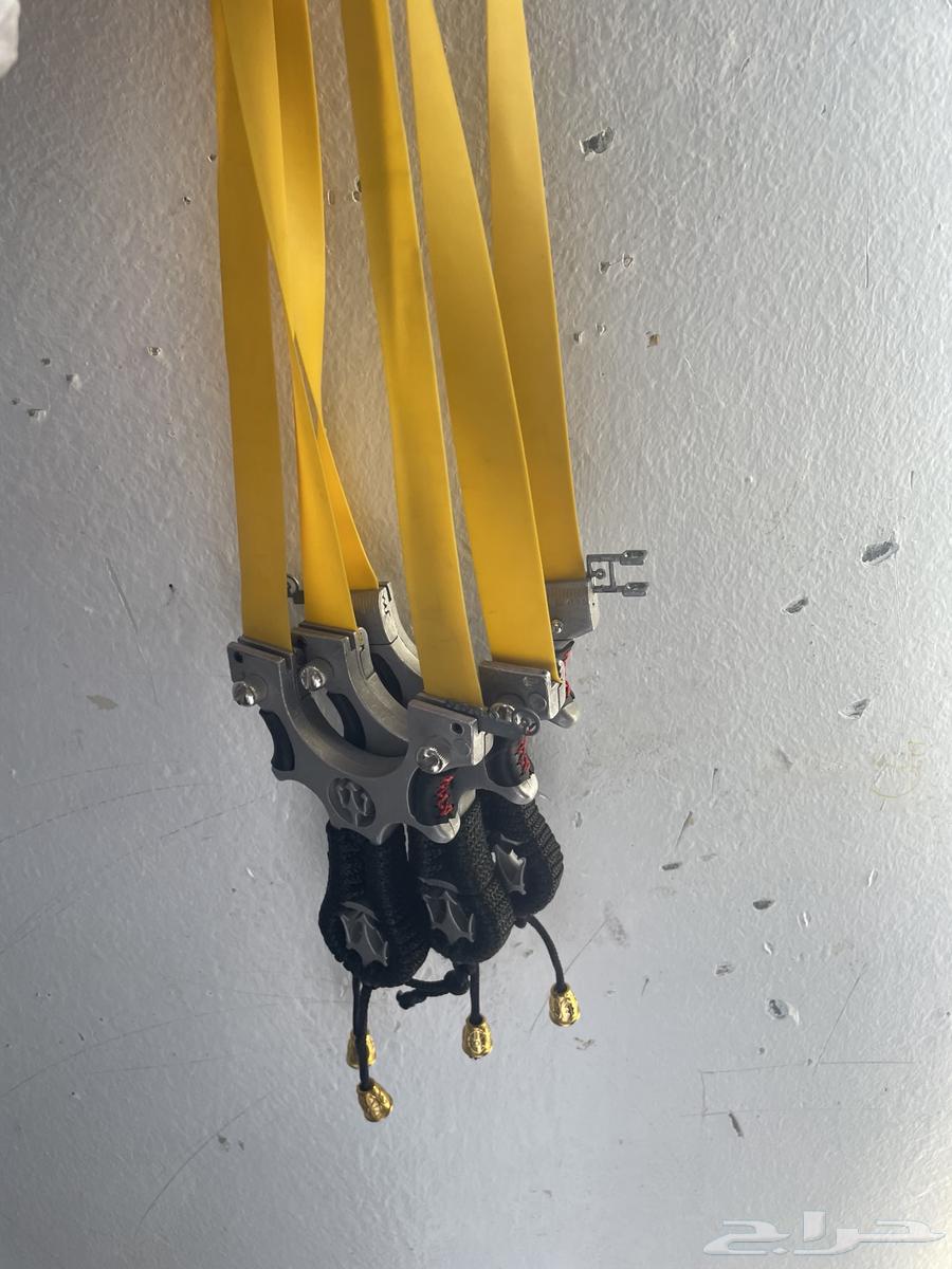 نطيبه ابو عامر64619242304513111