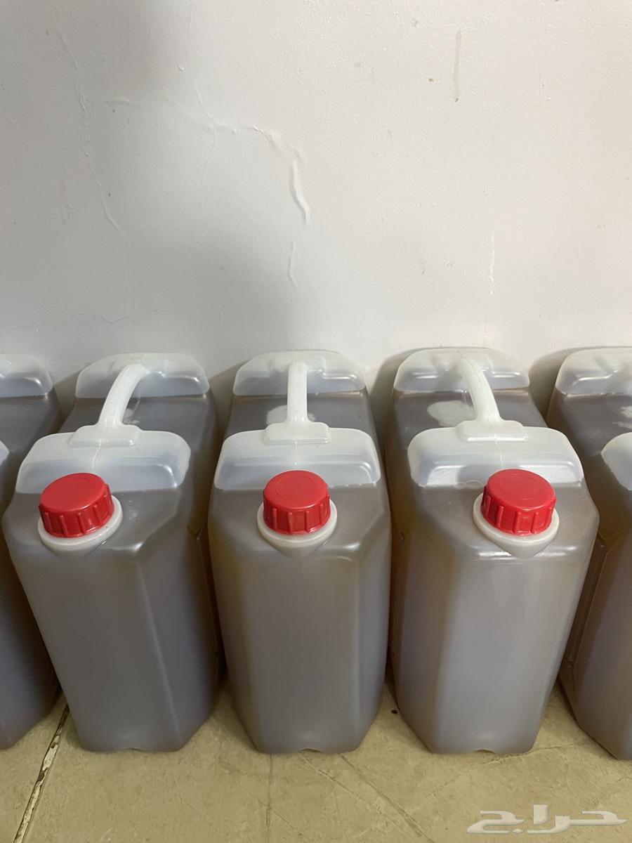 سليط طازج للبيع64451029362690110