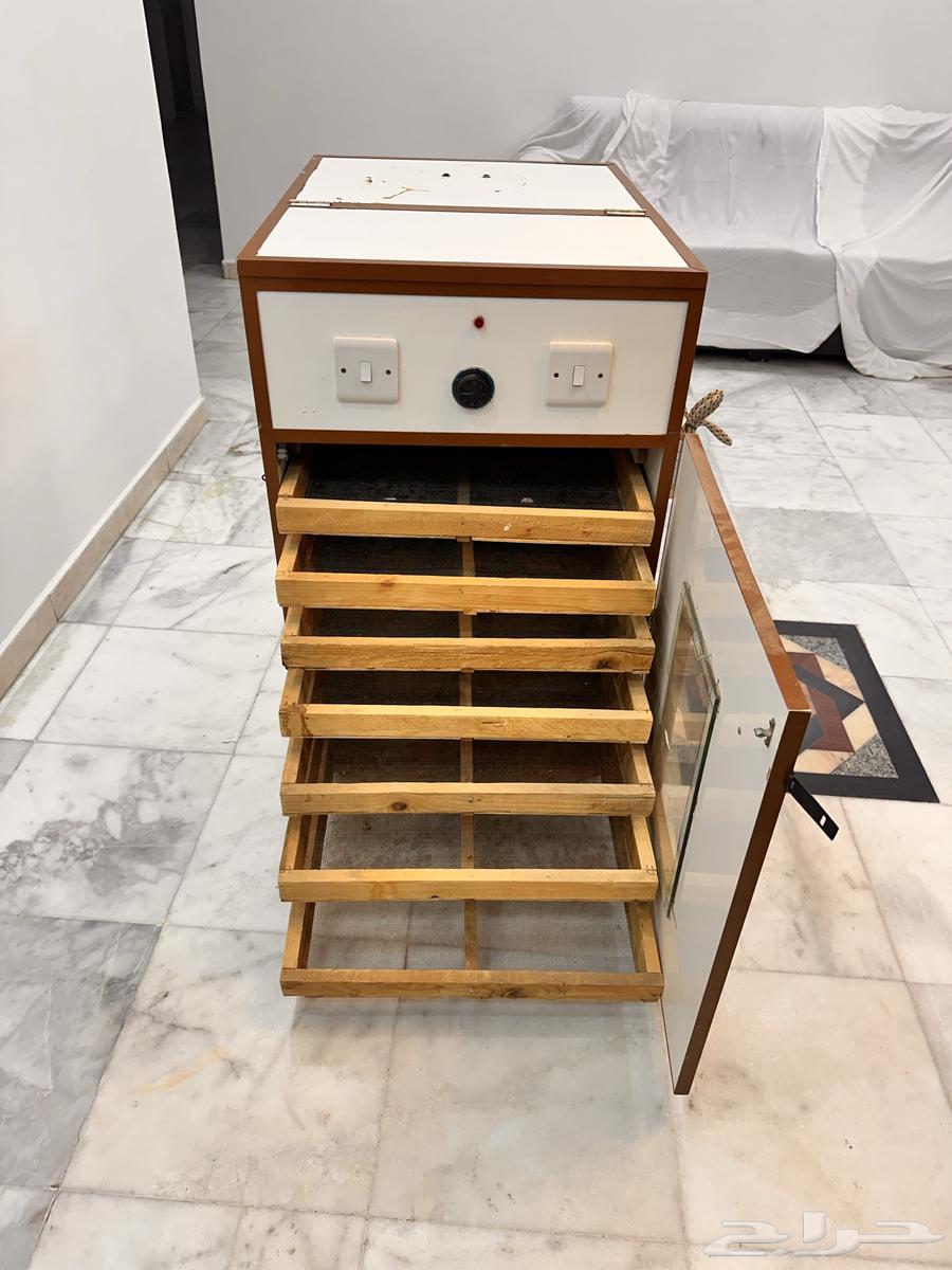 فقاصة بيض 1500 بيضة64449969580931112