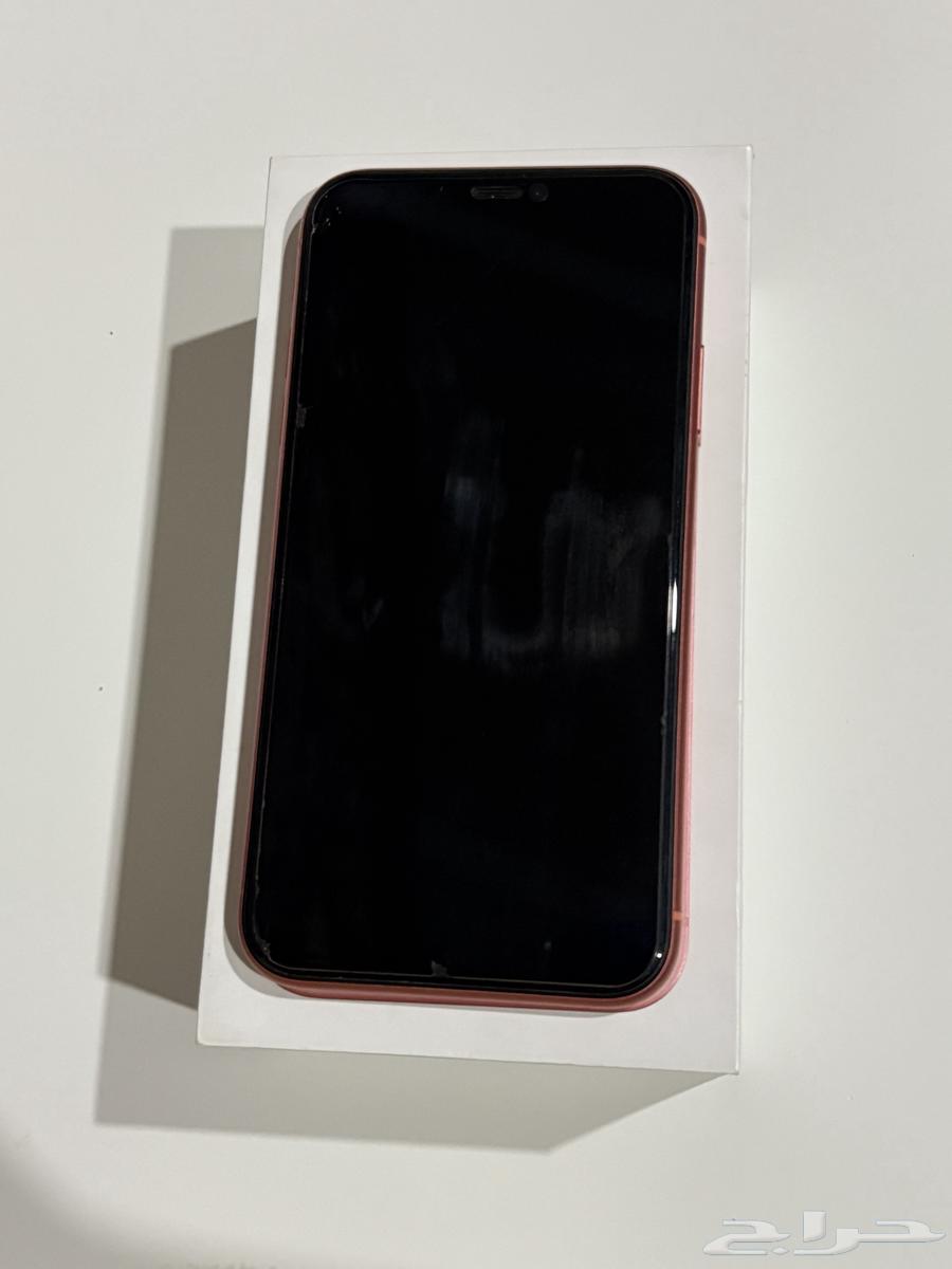 iPhone XR64452522677634111