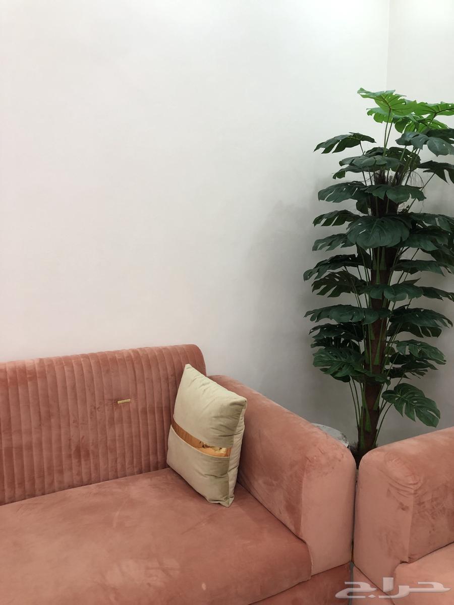 Sofa64454660329857112