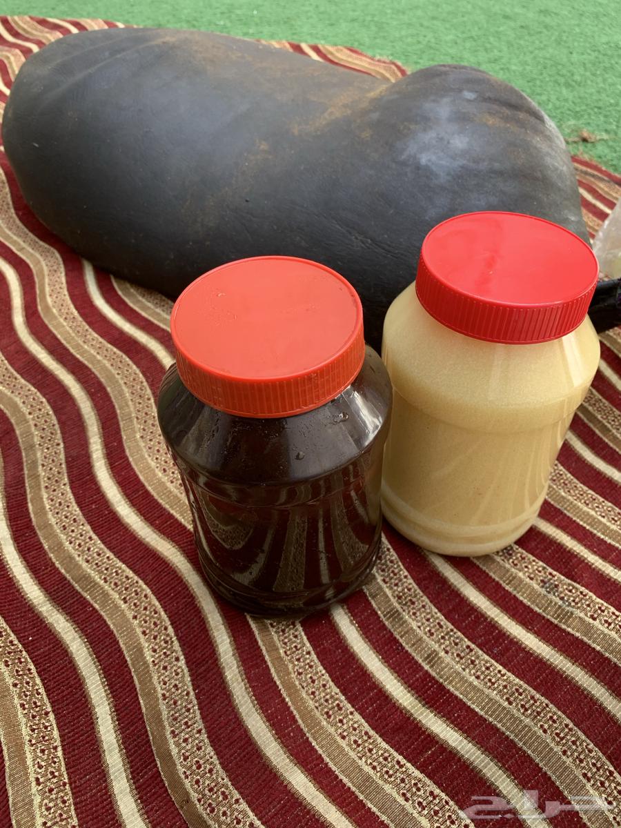 Wild sheep ghee, pure condition without additives64451056300803112