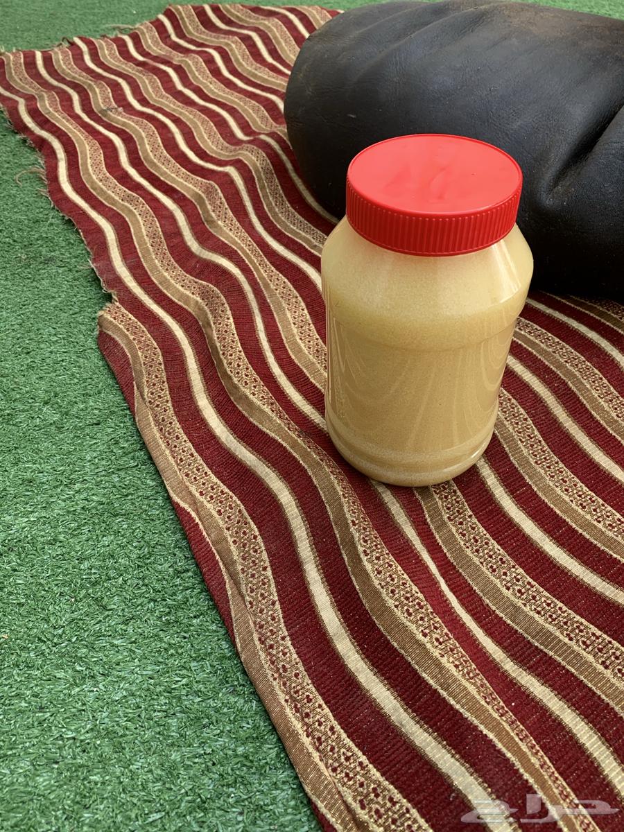 Wild sheep ghee, pure condition without additives64451056300803111