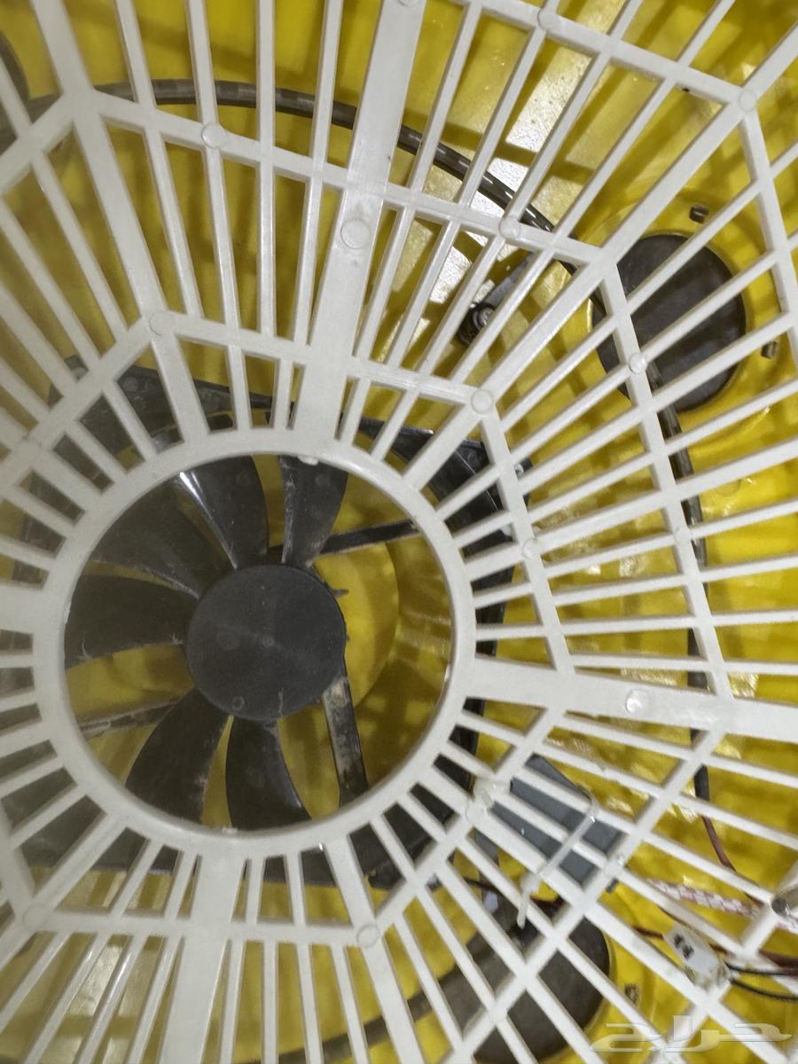 Incubators for sale64450022721154110