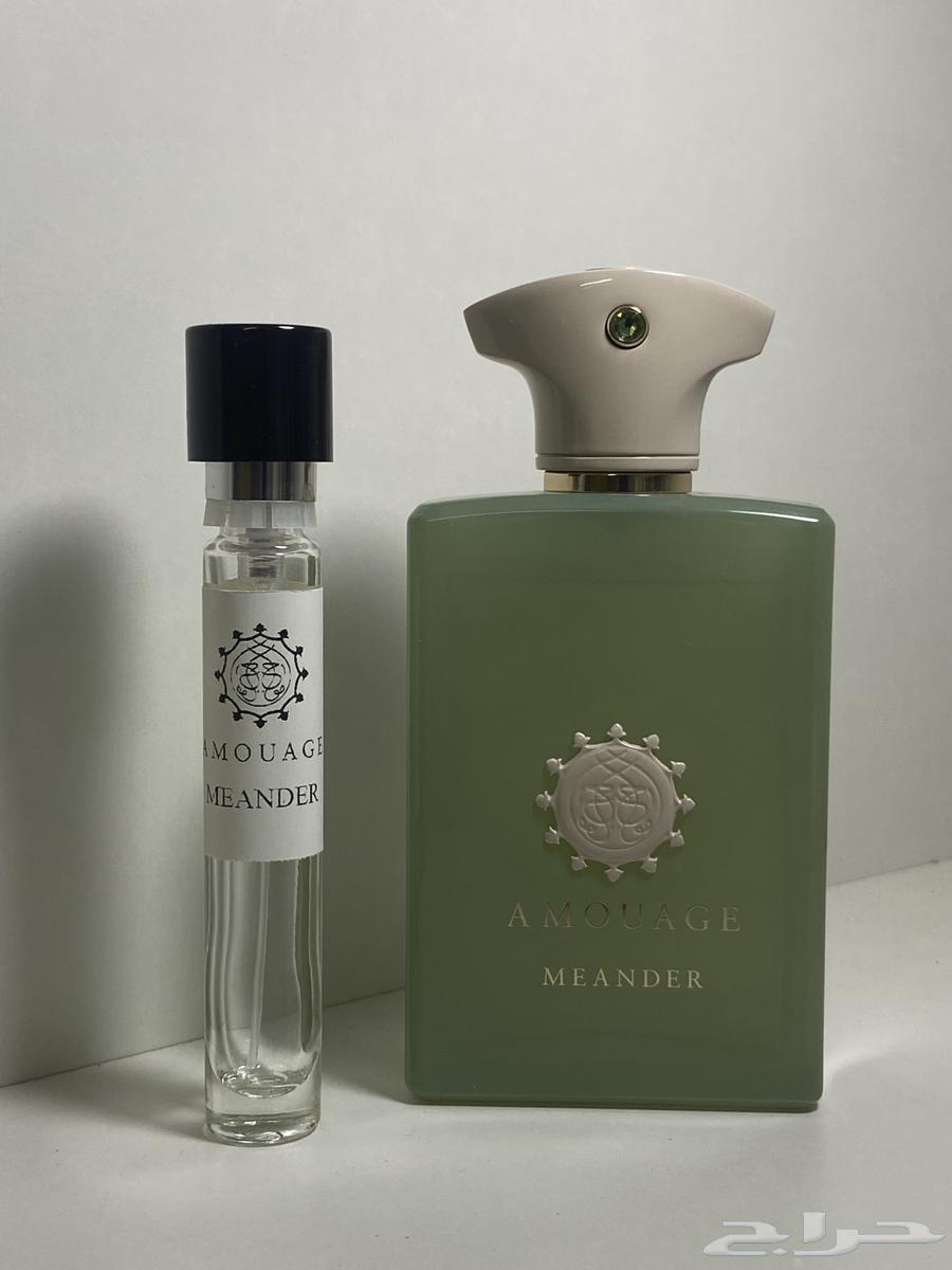 Meander wave division64453530870401110