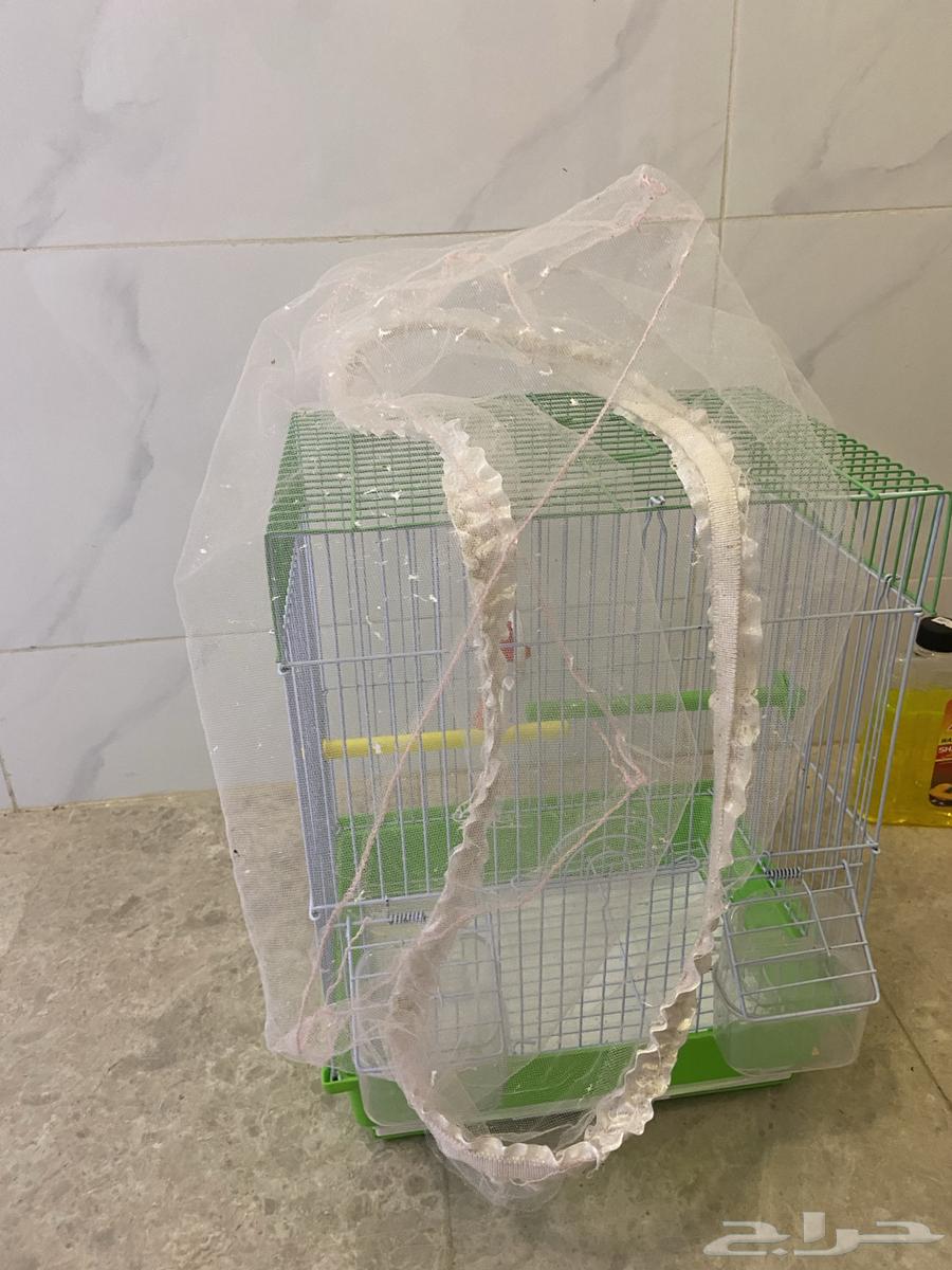 شبك طيور للبيع64456940954243111