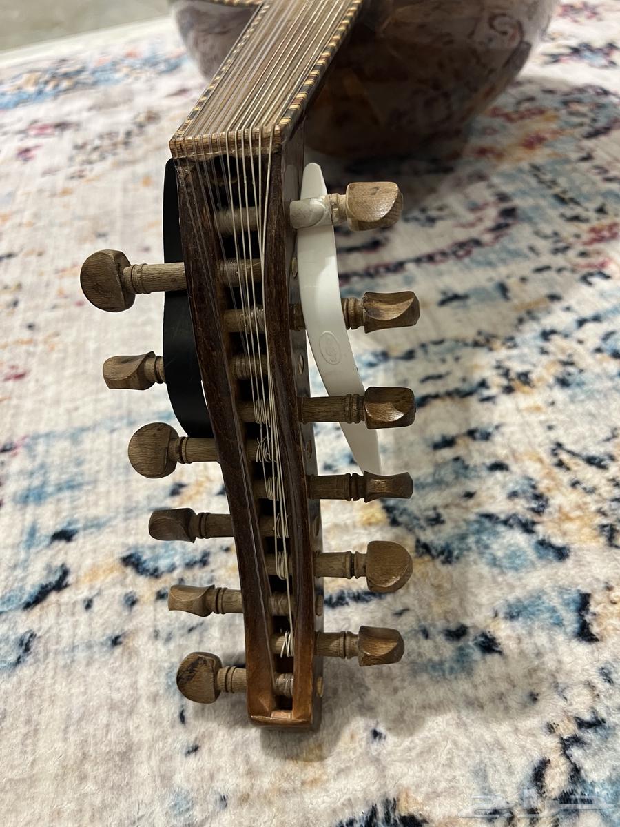 عود زرياب موديل عراقي 064452360912643113