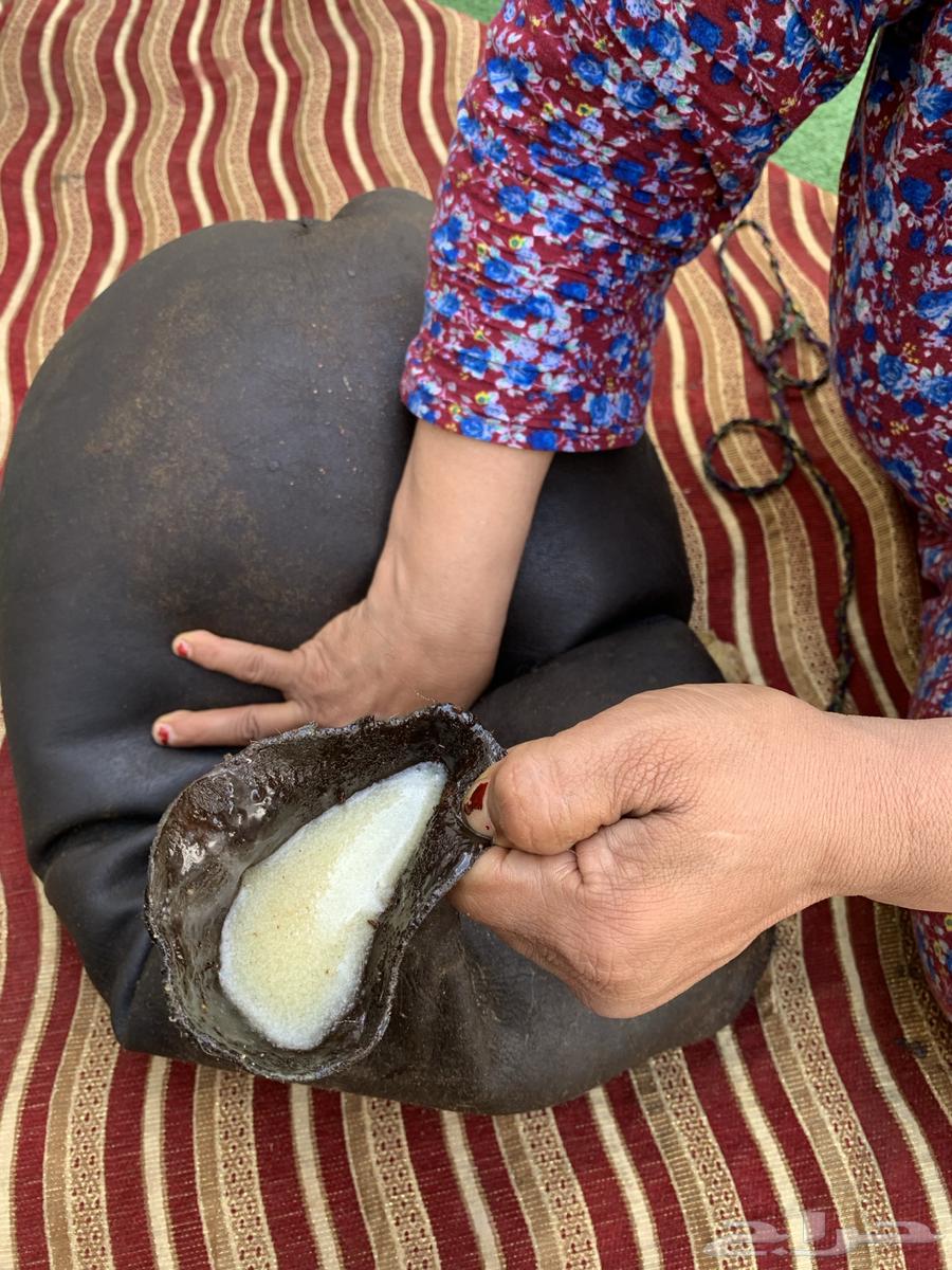 Wild sheep ghee, pure condition without additives64451056300803110