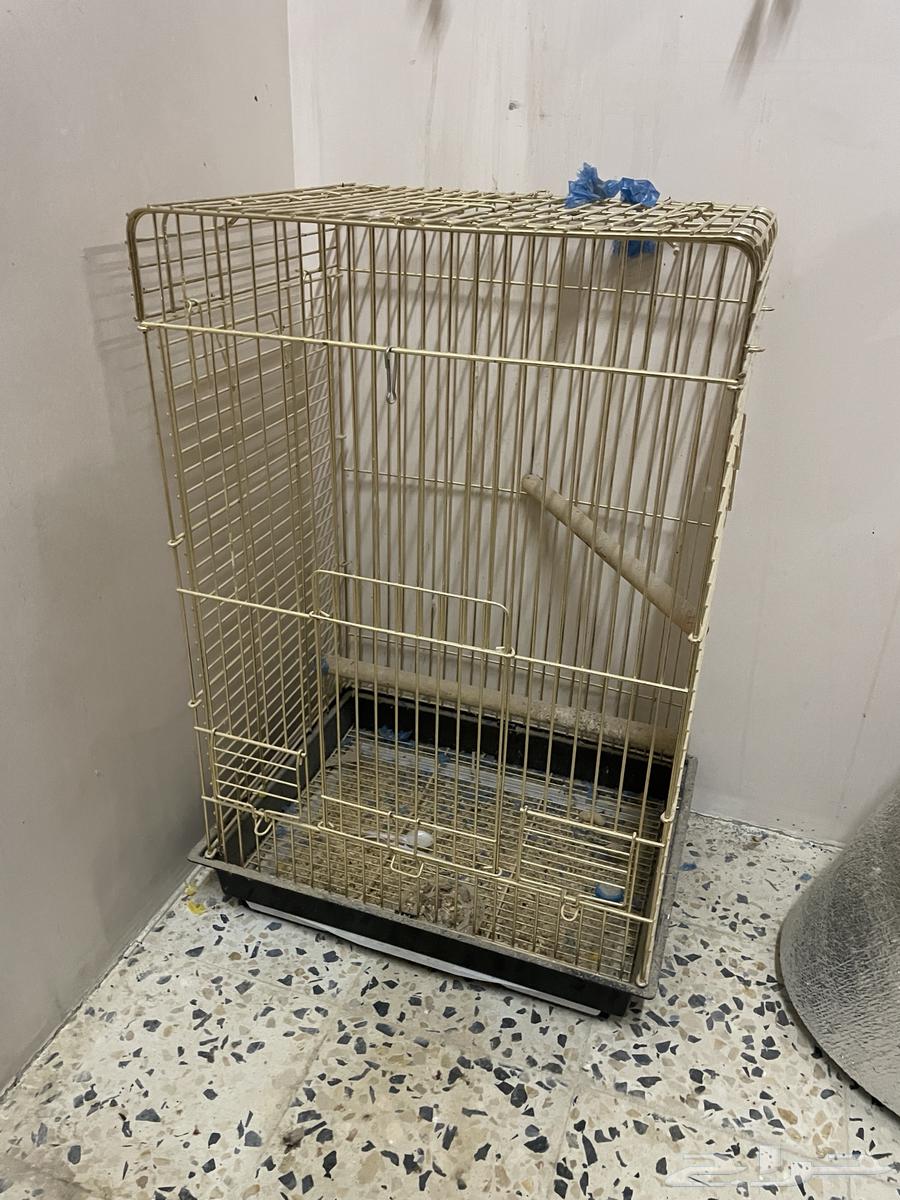 قفص طيور64455427382531110