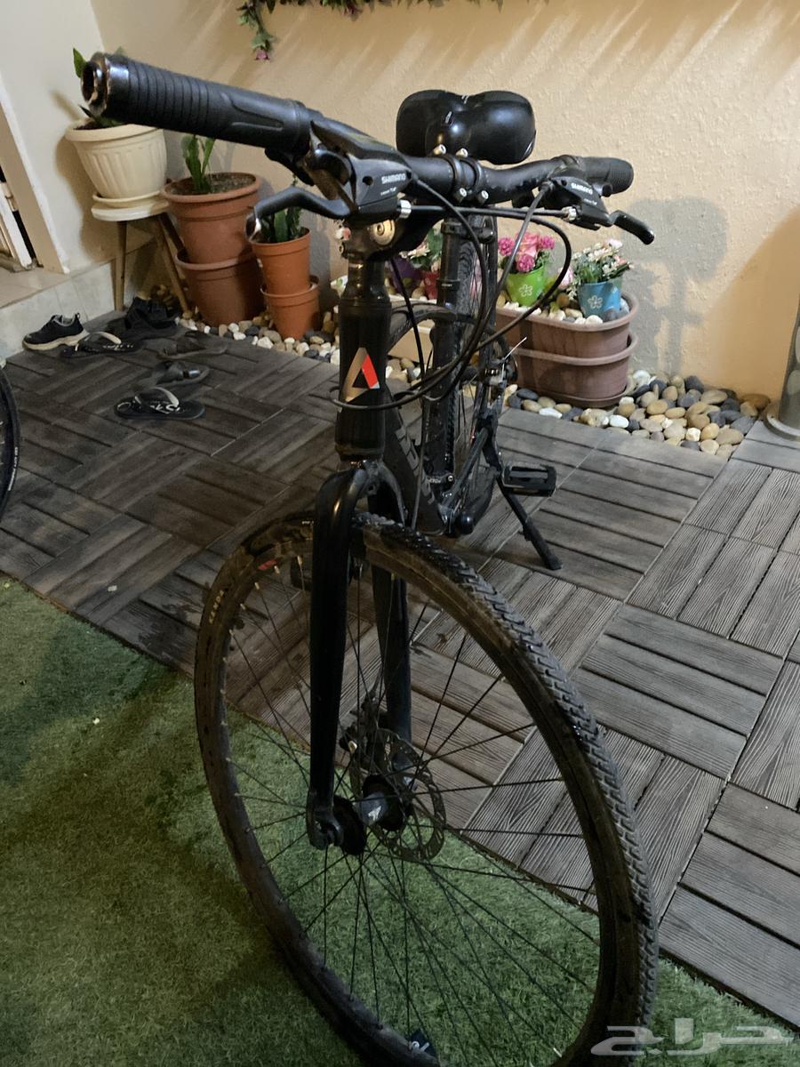 Bicycle for sale, quick before it's gone64455086256129112