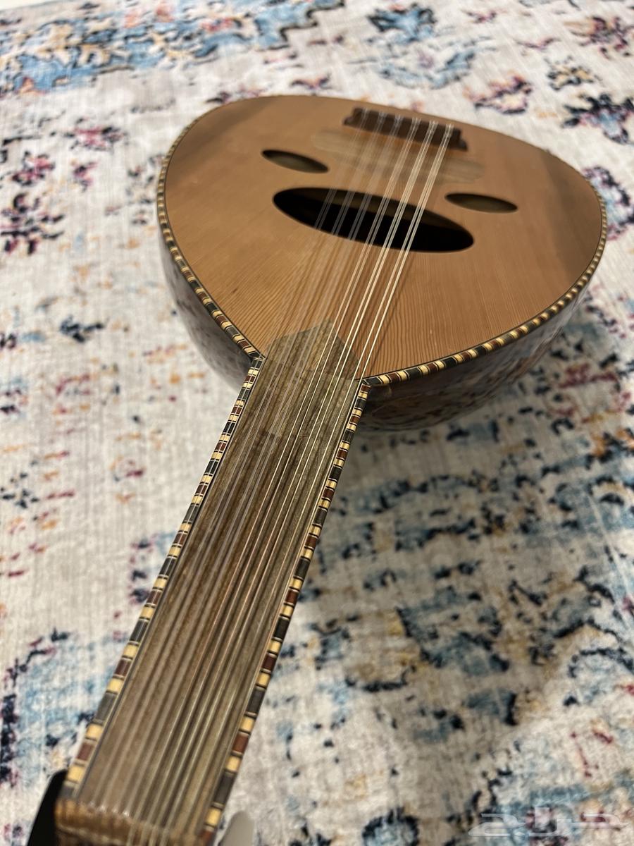 عود زرياب موديل عراقي 064452360912643112