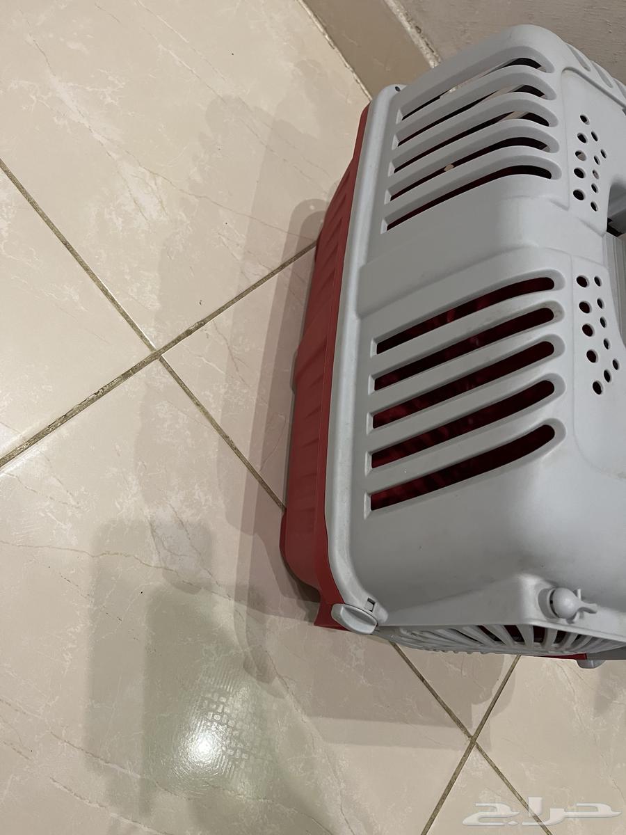 بيت القطط64456199372930110