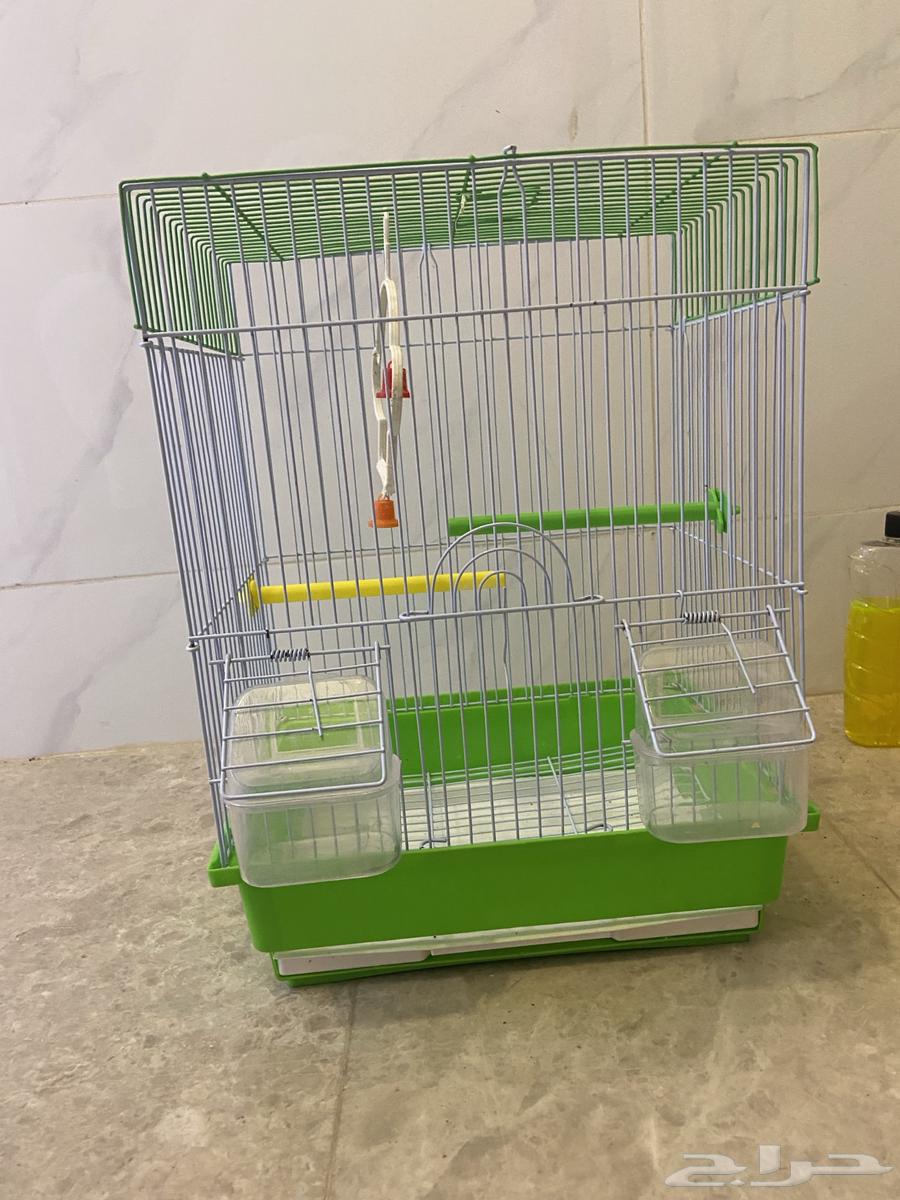 شبك طيور للبيع64456940954243110