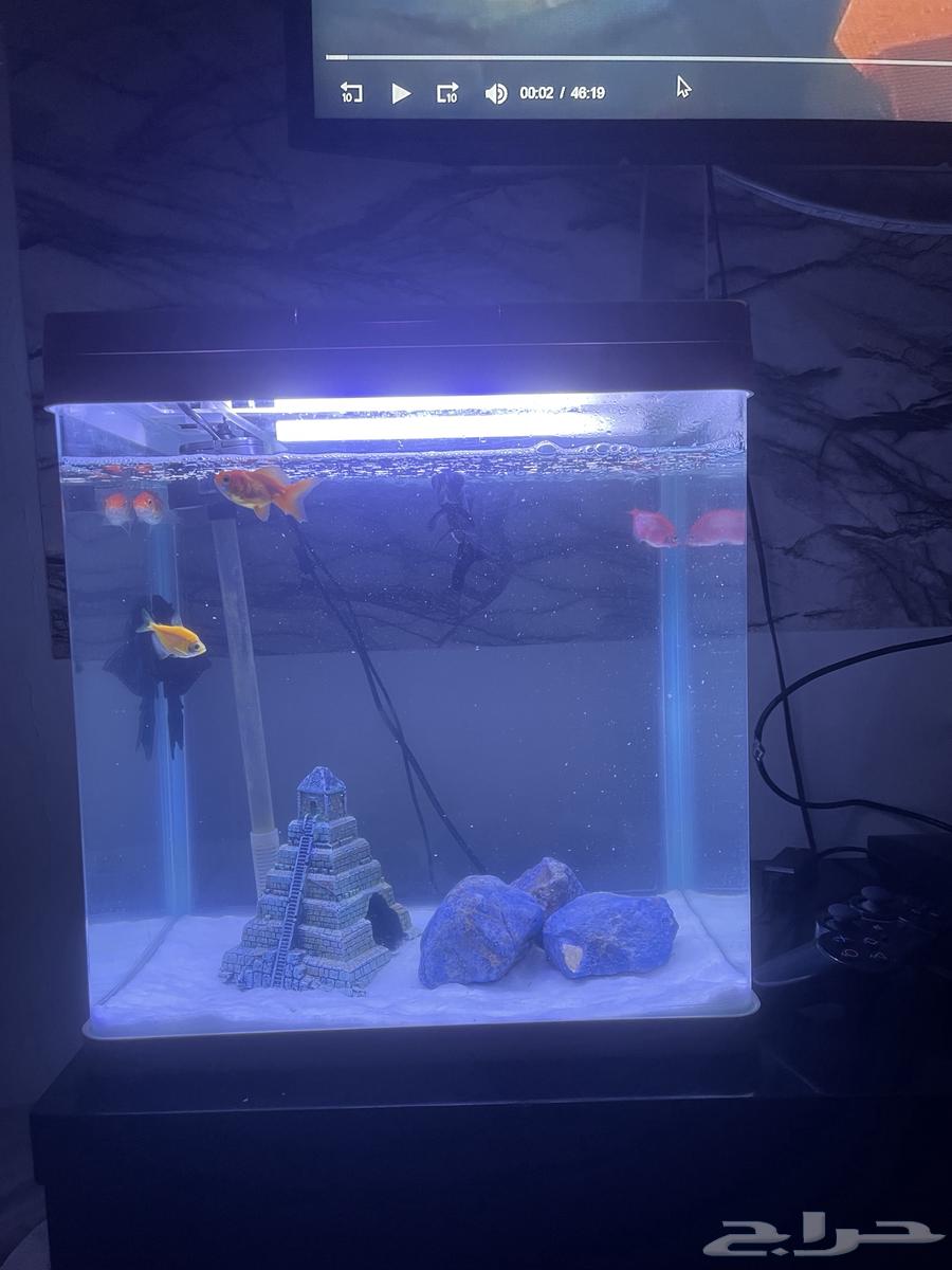 حوض سمك للبيع64449996046466110