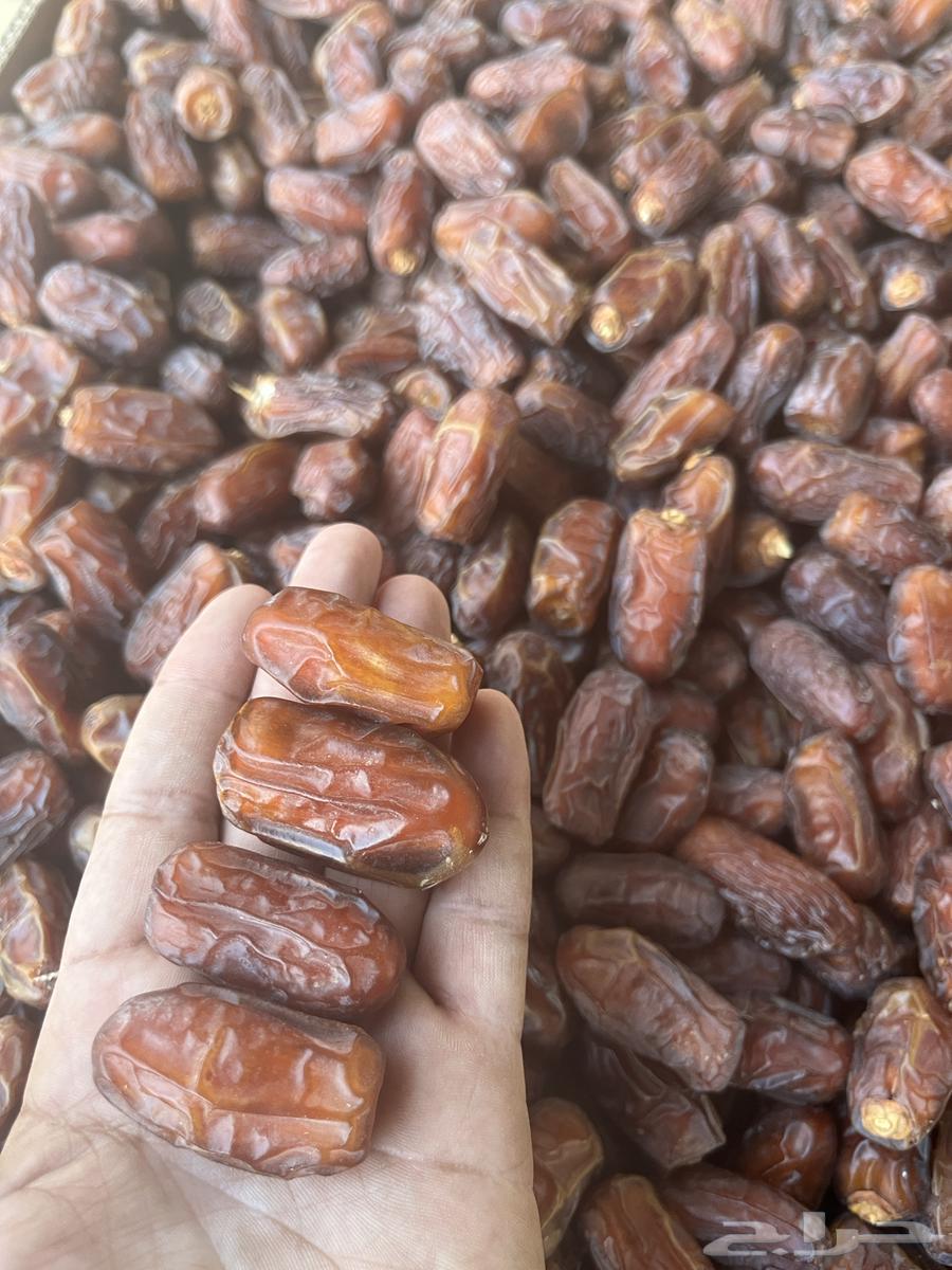 Safri Cold-Pressed Dates64454386770947110