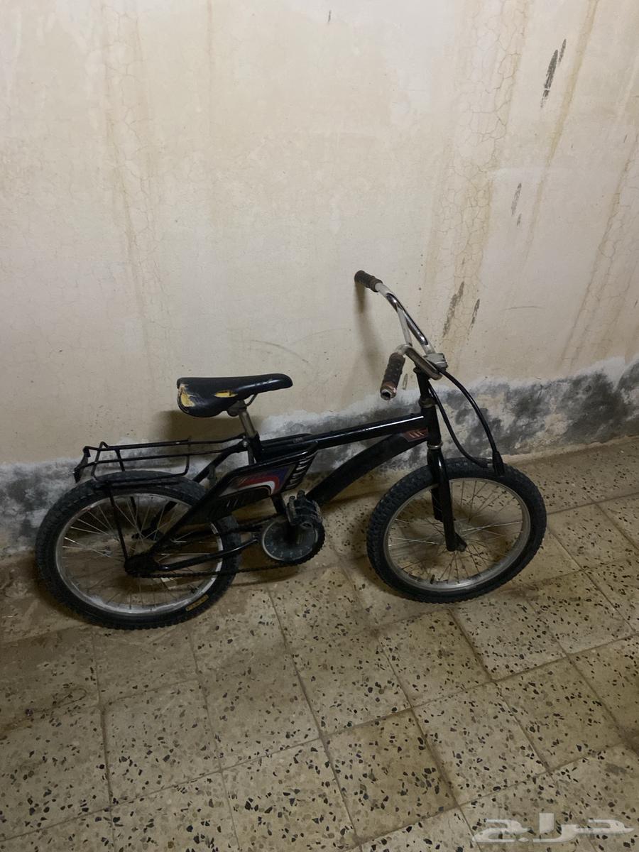 سيكل رامبو للبيع64456351593219111