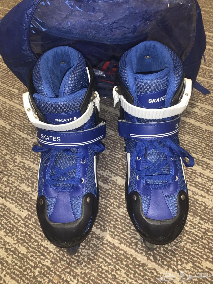 Skate Size (L)64452509302531110