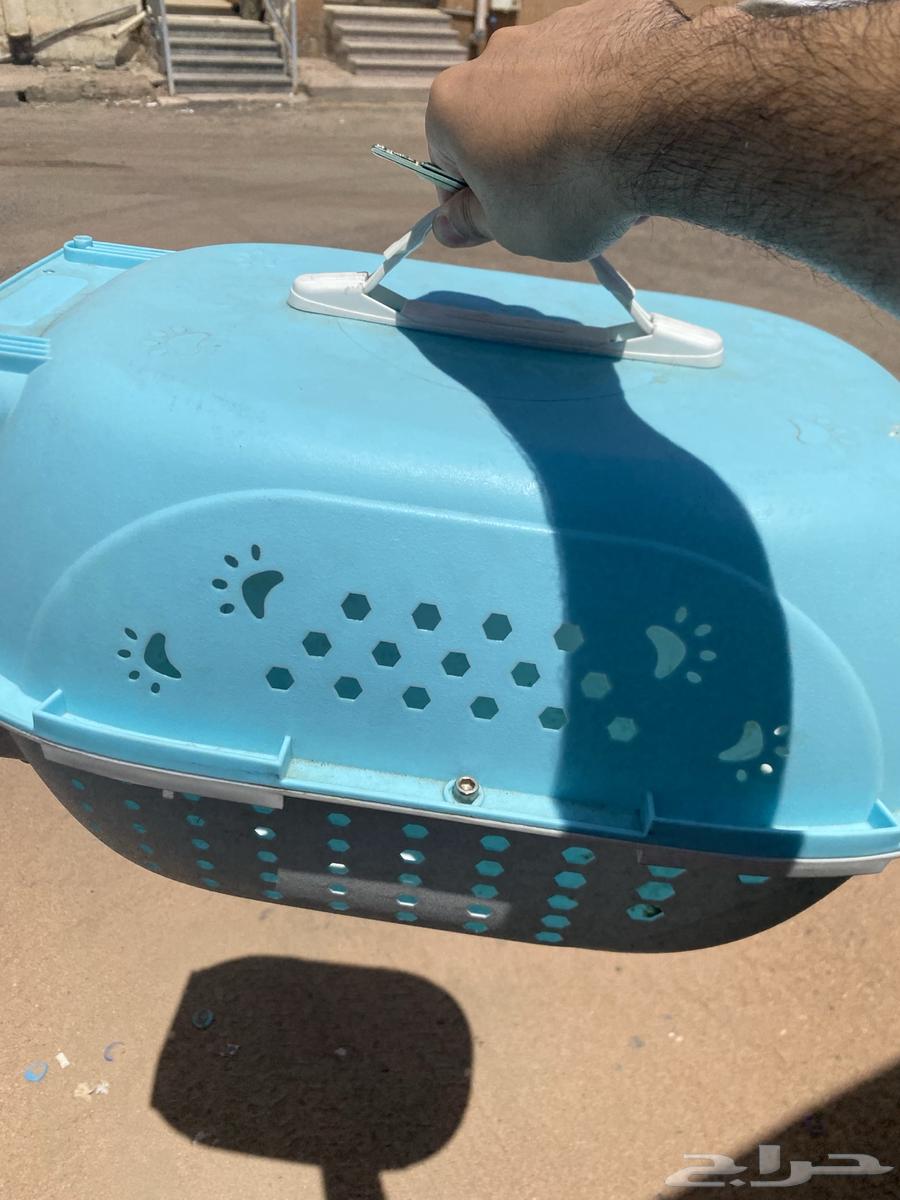 Cat Box64456817940737112