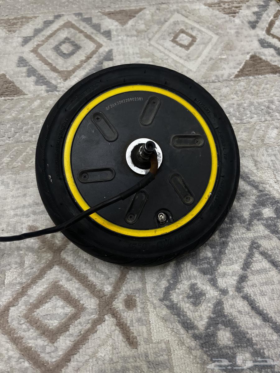 Dynamo with Kitaout Scooter Pro Max Stand64453655462147110