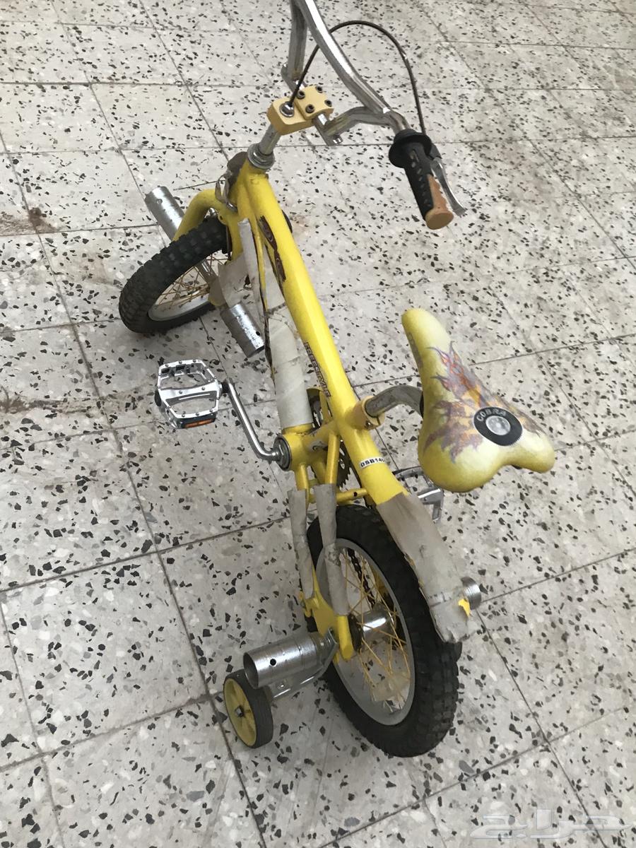 للبيع سيكل كوبرا64452076351107112