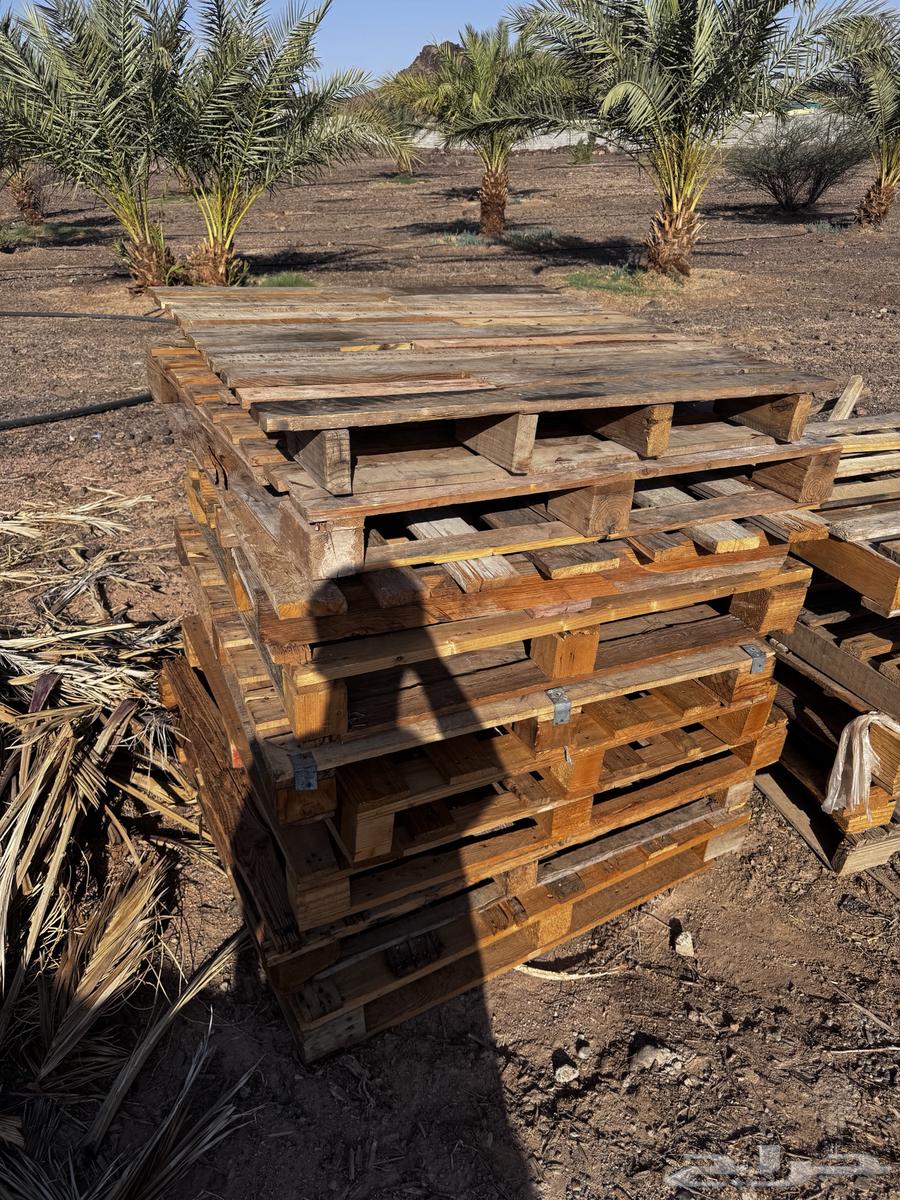 للبيع طبليات خشب64451002136450110