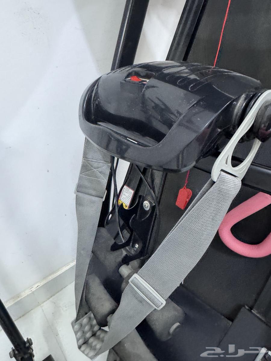 Walking with Gazelle64453311832449113