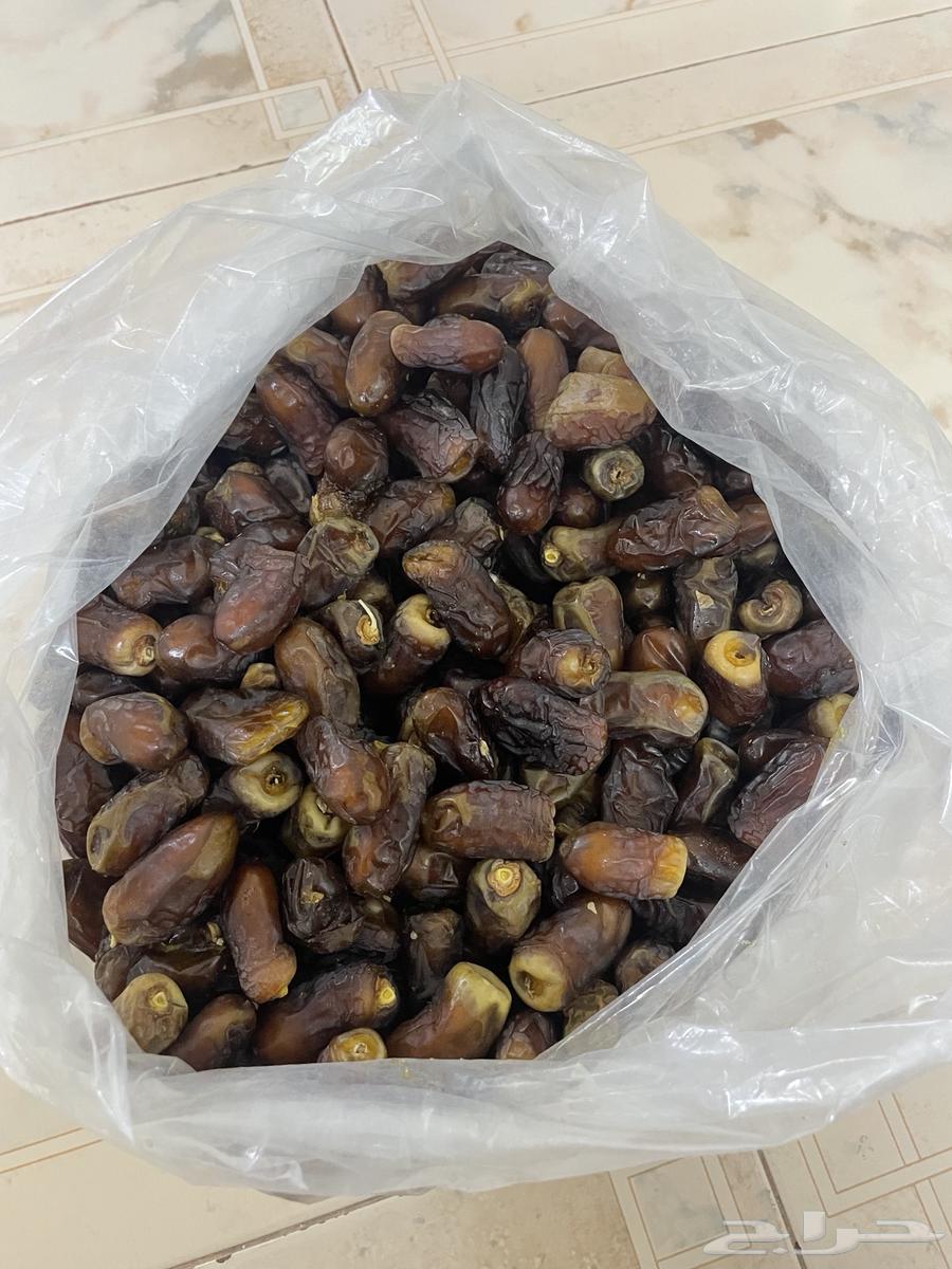 للبيع برني64453806468737111