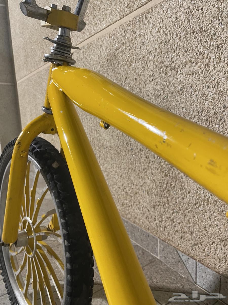 سيكل كوبرا مقاس 2064456309915521112