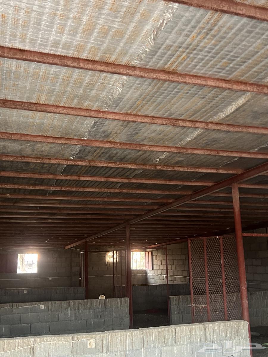 هنقر جديد شرط معه عازل حراره ابواب درايش64454674066562112