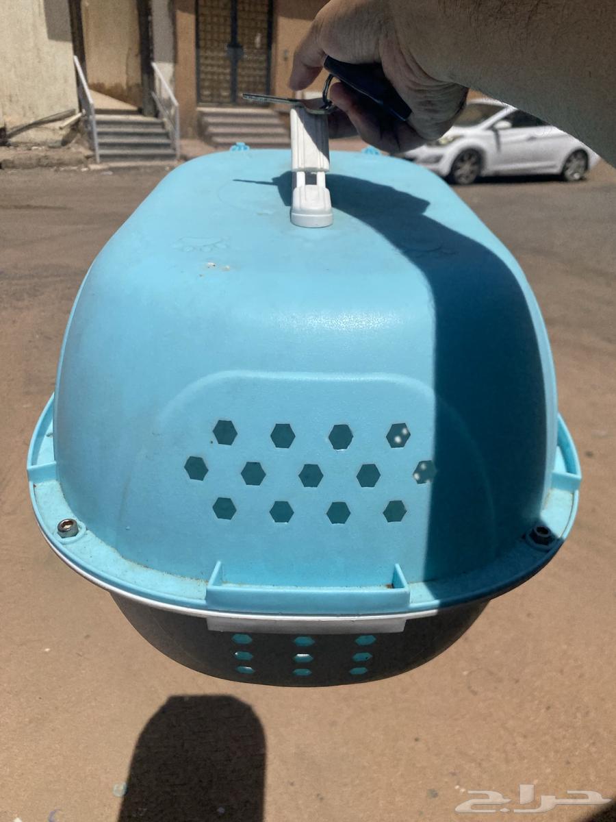 Cat Box64456817940737111