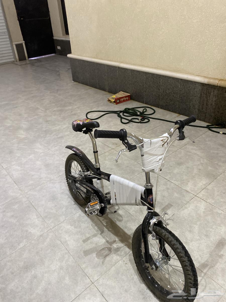 سيكل كوبرا جديد64454591810691111