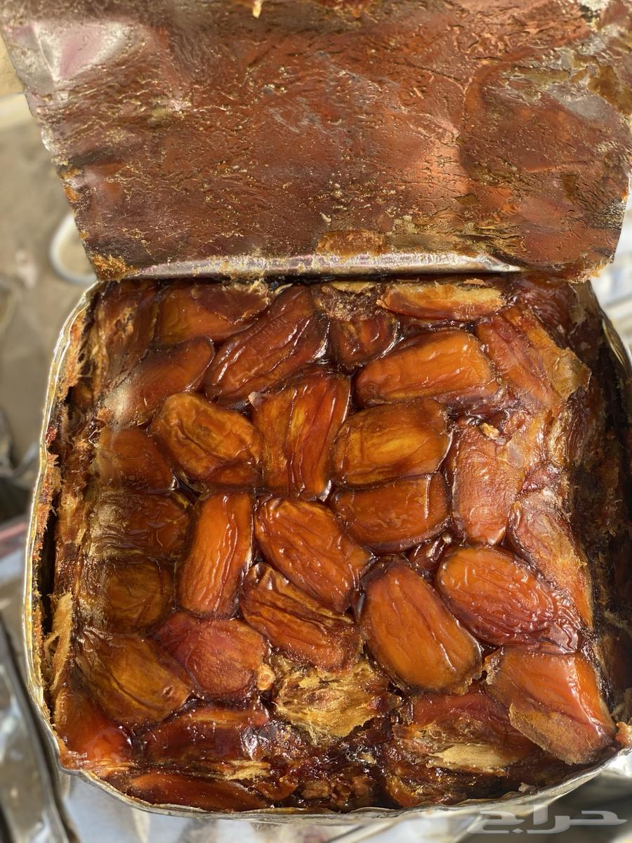 تنك أرباع أشعل حشي جديد تمر صفري بيشة64453930654209112