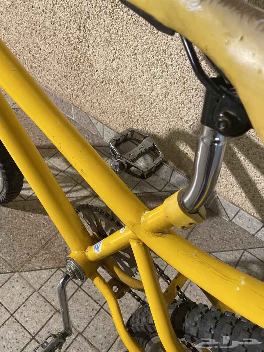 سيكل كوبرا مقاس 2064456309915521111