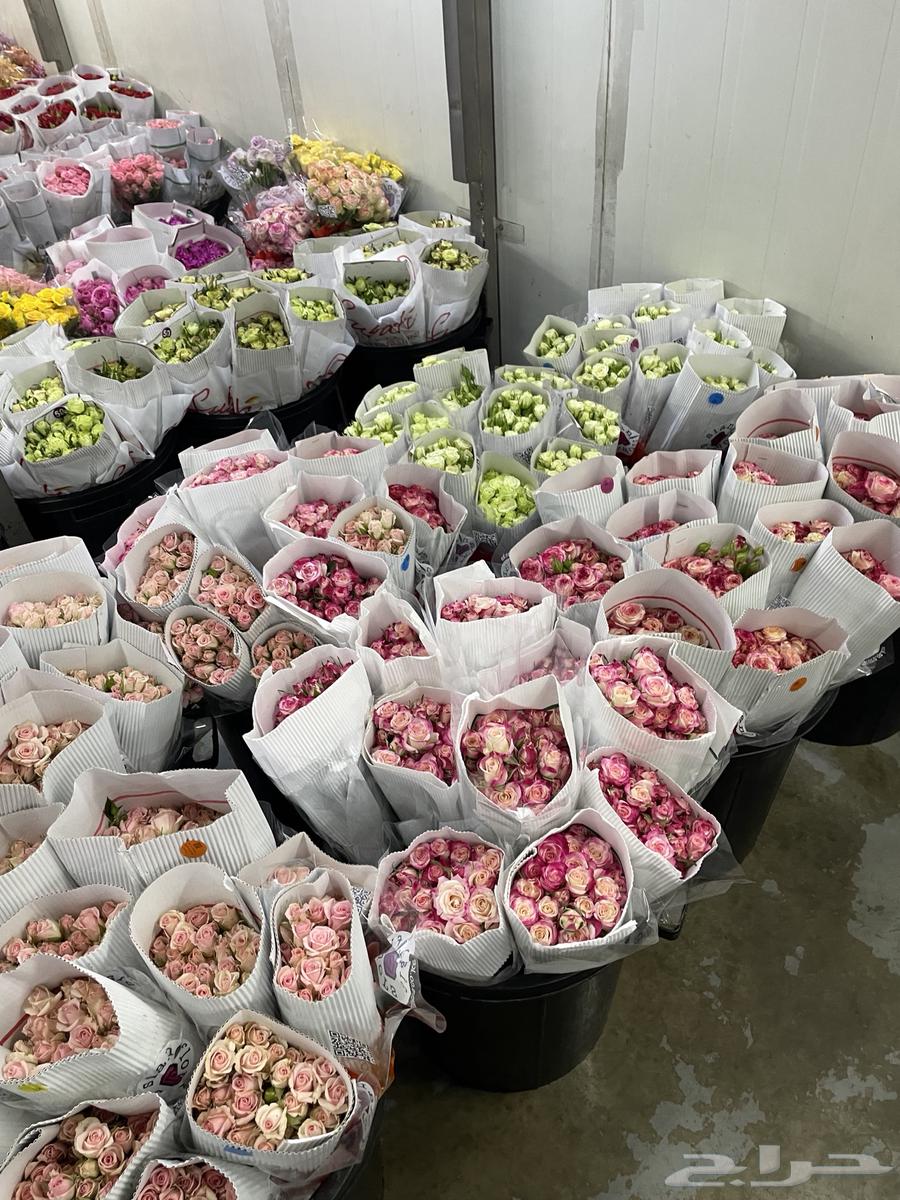 ورد طبيعي بالجملة64457064003969111