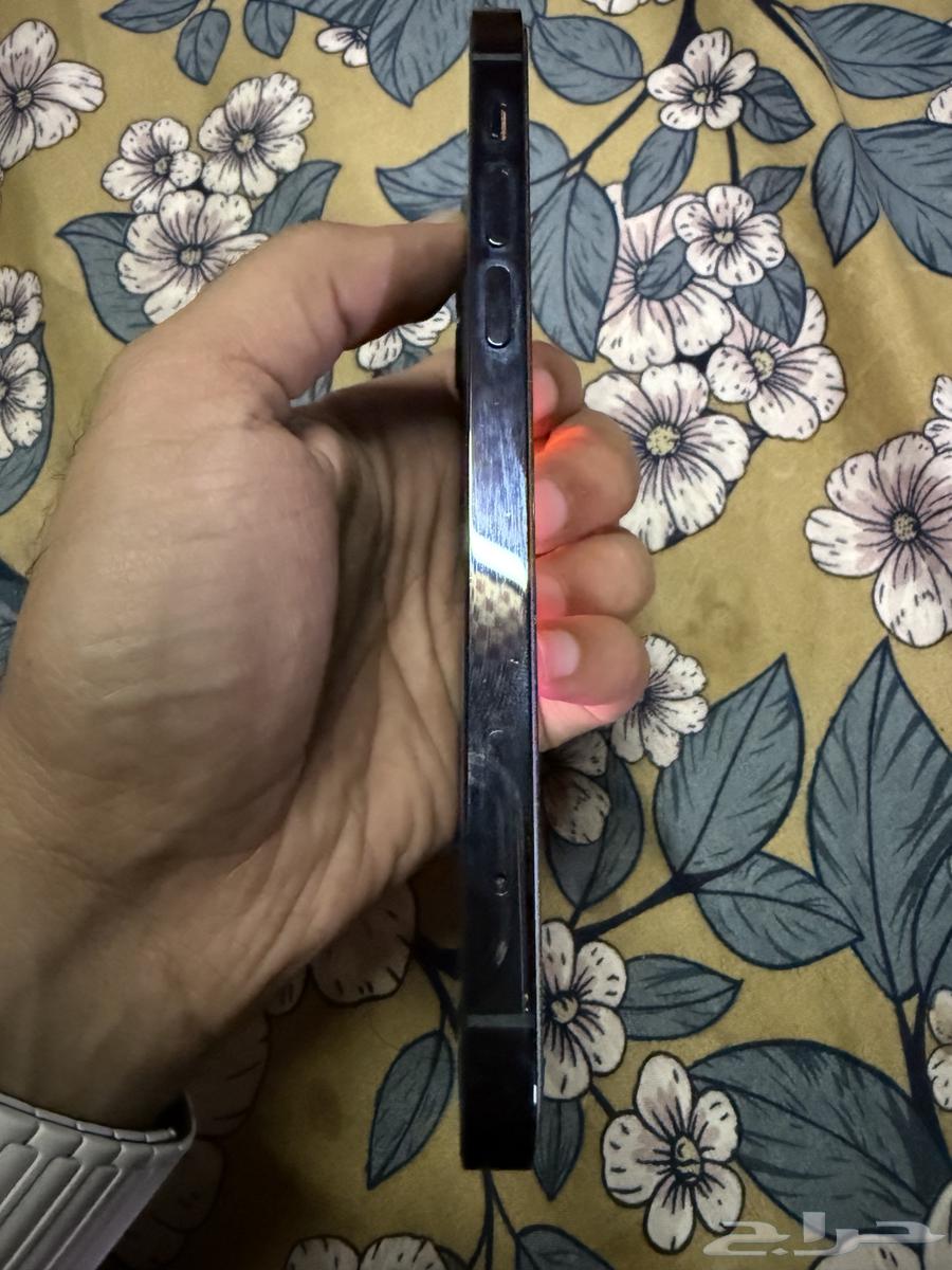 ايفون 12 برو 256 جيجا نظيف64456351690497113