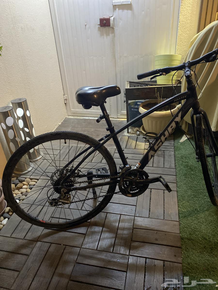 Bicycle for sale, quick before it's gone64455086256129111