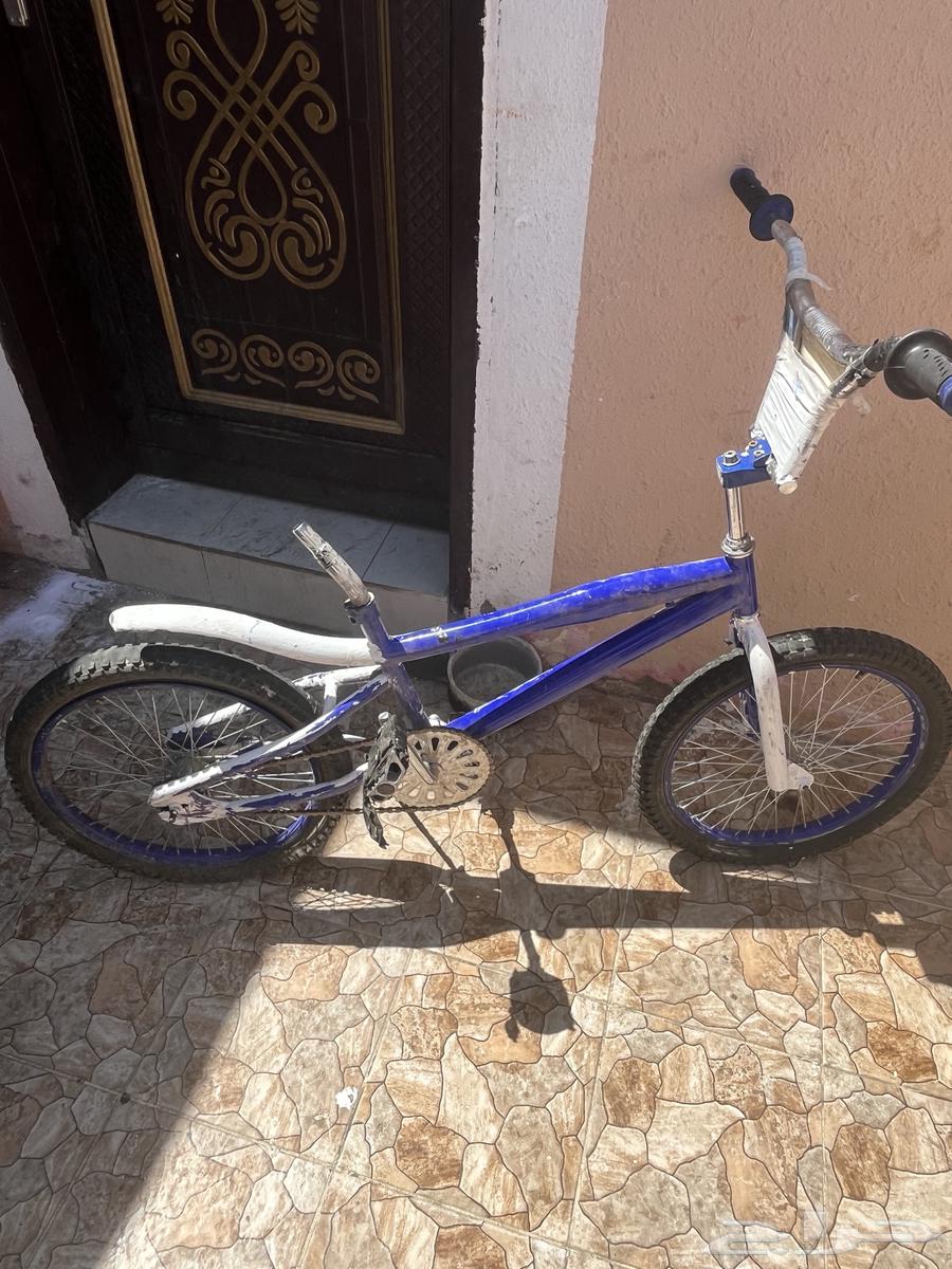 سيكل مقاس 20 كوبرا جنوط سليمه كل شي سليم إلى الكفر الي ورى64453106798977114