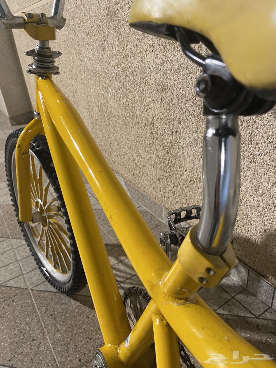 سيكل كوبرا مقاس 2064456309915521110