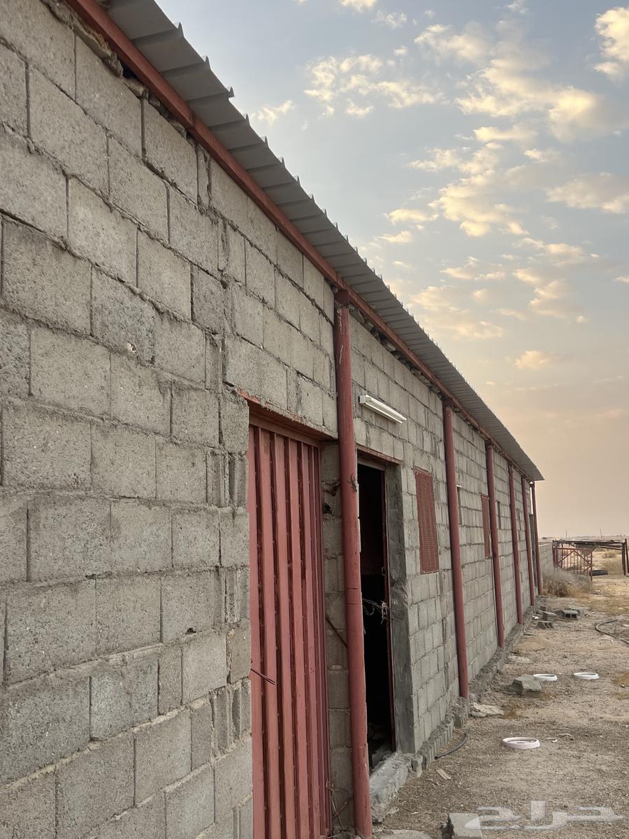 هنقر جديد شرط معه عازل حراره ابواب درايش64454674066562113