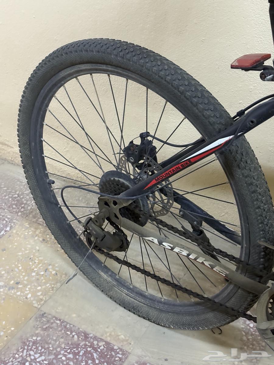 سيكل كبير للبالغين استخدامي له قليل وجديد64455167828354112