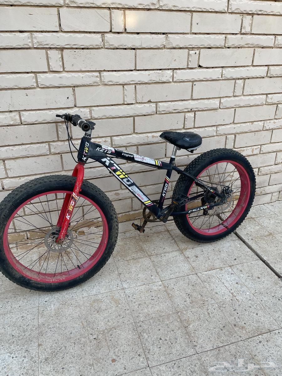 سيكل للبيع64454977575939111