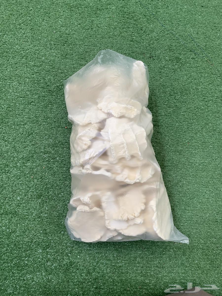 Wild sheep ghee, pure condition without additives64451056300803114