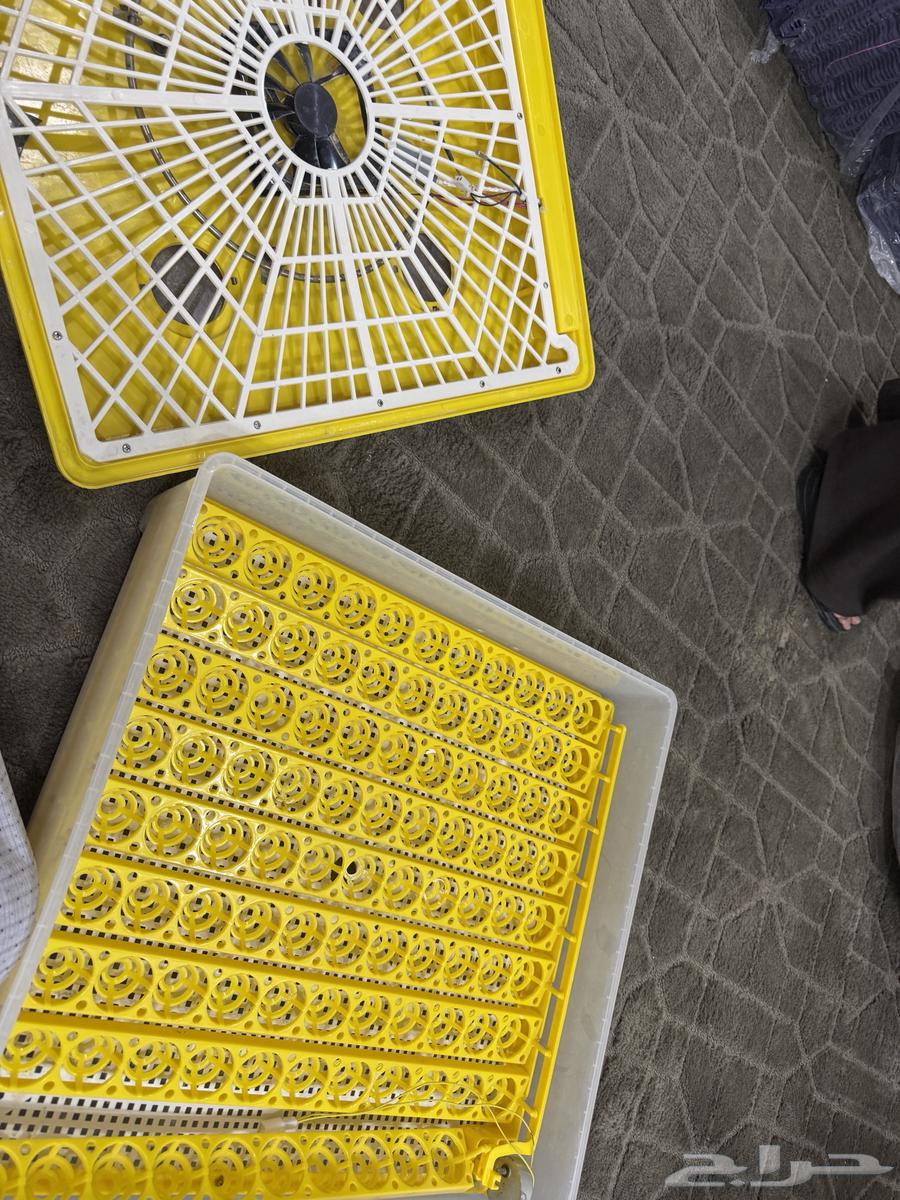 Incubators for sale64450022721154112