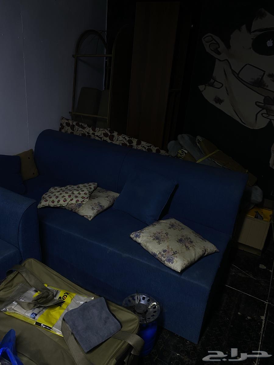 Elegant sofa at a sweet price64452023087746113