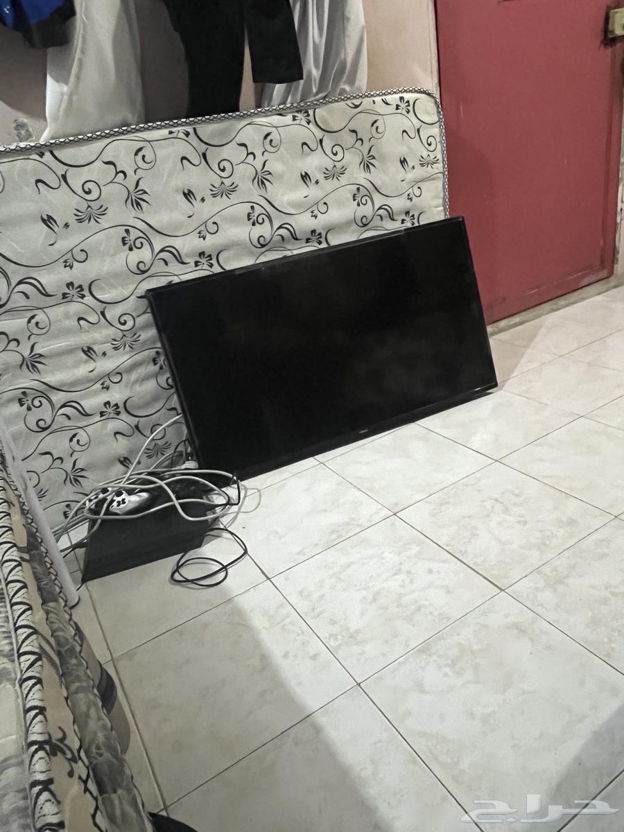 Shasha Imbex 4264456749110147110